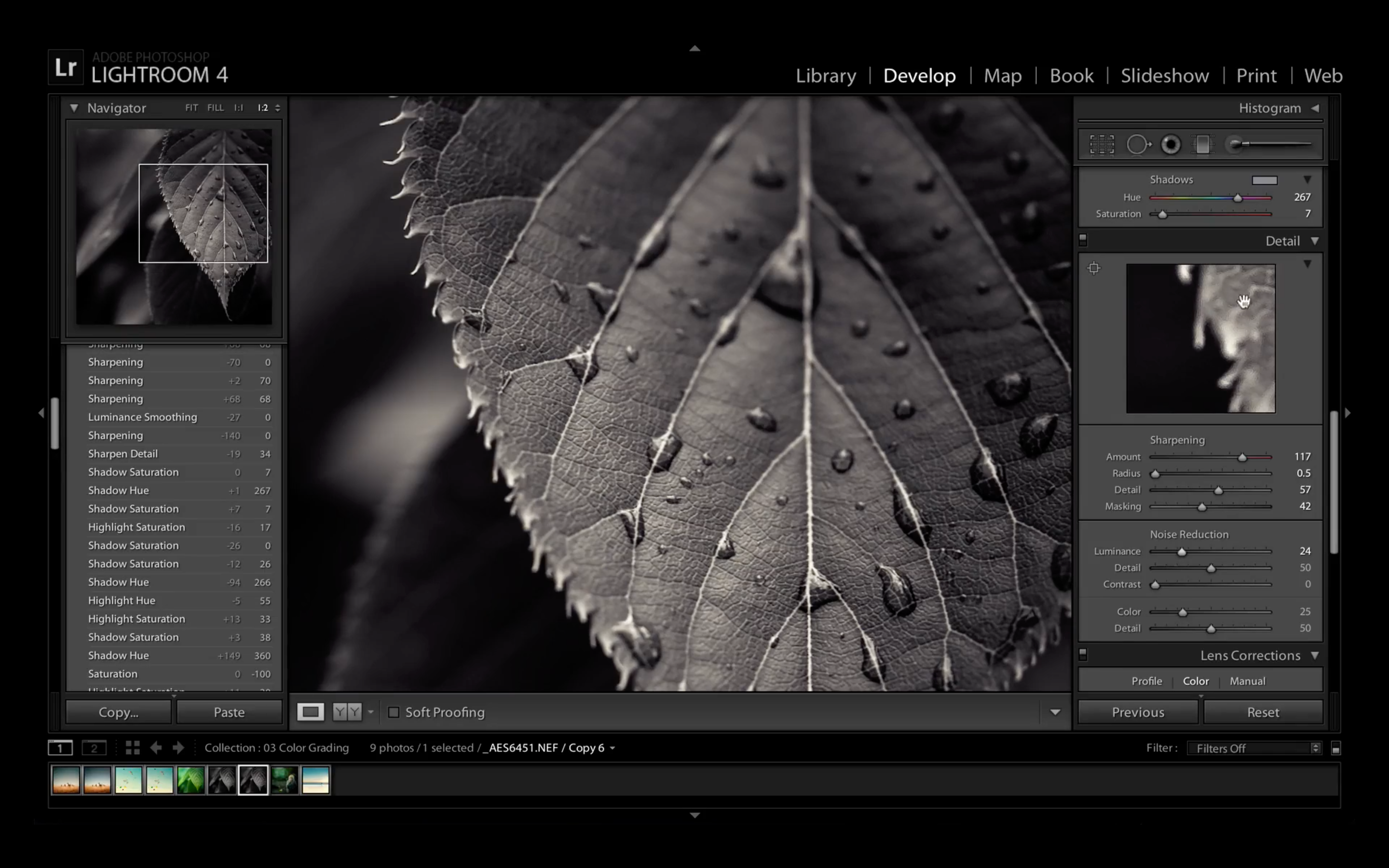 Lightroom Tutorials - Getting Started